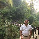  Roman, , 49  -  2  2017   