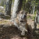 ���� ����, ������, 57 ��� - ��������� 10 �������� 2017