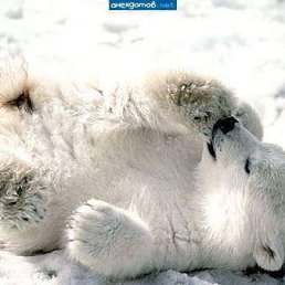 ������ �����, ������, 67 ���