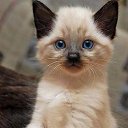 ���� �������, ������ - ��������� 24 �������� 2017 � ������ ������ ��������