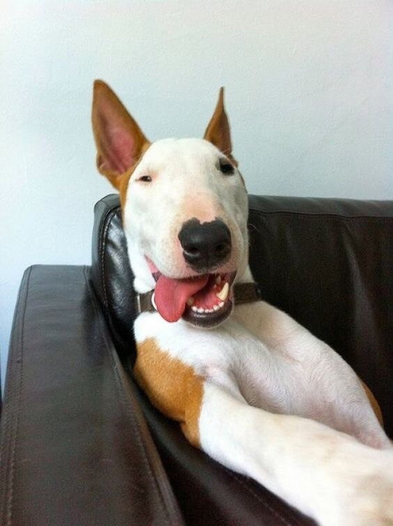 Продуктивной пятнички, друзья