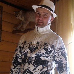 ������, ������, 51 ���