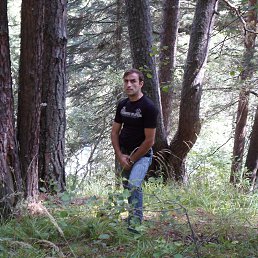 ����, ����-�������, 46 ���