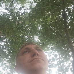 �����, ��������, 43 ����