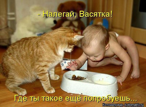  ...    !..