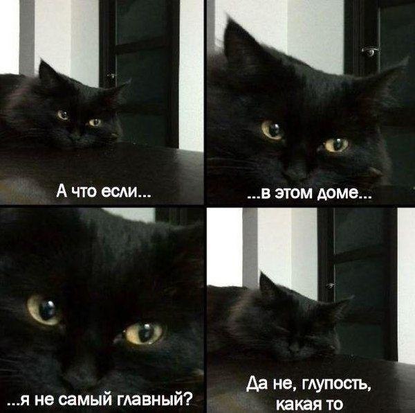   - 24  2017  18:09