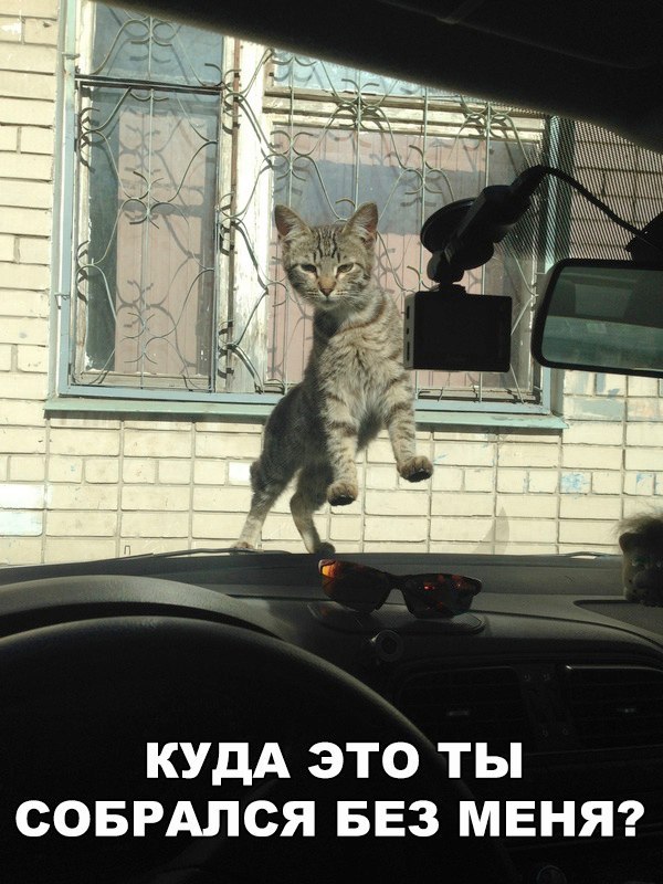    .     ))) - 14