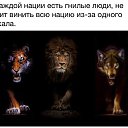  ))),  -  6  2017    ...