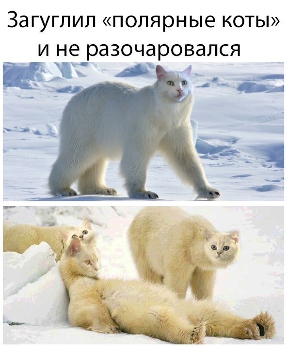   - 23  2017  13:57