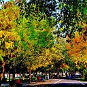  ,  -  24  2017                   Ѩ       һ