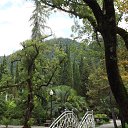 ���� ����, �������, 66 ��� - ��������� 20 �������� 2017 � ������ ��������-������ ����.�