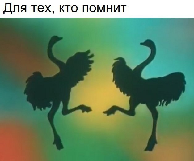   -   - 29  2017  09:32