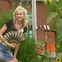 ���� ����������, ����, 45 ��� - ��������� 8 ������ 2017 � ������ ���� ����������