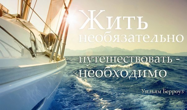 elegram      , -   : ...