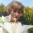 ���� ����, �������, 65 ��� - ��������� 29 ������� 2017 � ������ ���� ����������