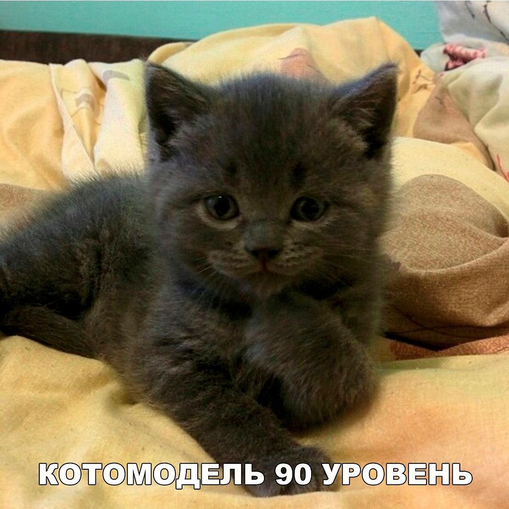    :D - 12  2017  00:36