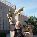 ���� ��������� ����������, �����������, 50 ��� - ��������� 5 ������� 2017 � ������ ���� ����������