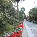  , , 60  -  2  2017   ,02.09.17. &quot;  &quot;