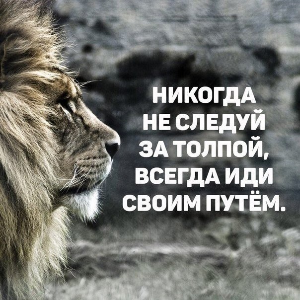    - 26  2017  18:54
