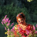   !!!!!, , 48  -  3  2017    