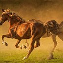 ���� ���������, ������, 59 ��� - ��������� 15 ������ 2017 � ������ ���� ����������