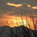 ���� �������, �������, 46 ��� - ��������� 22 ��� 2017 � ������ ��������