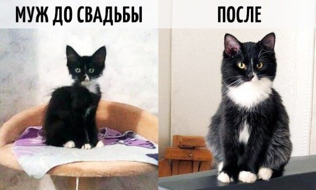   ,     .,        ...