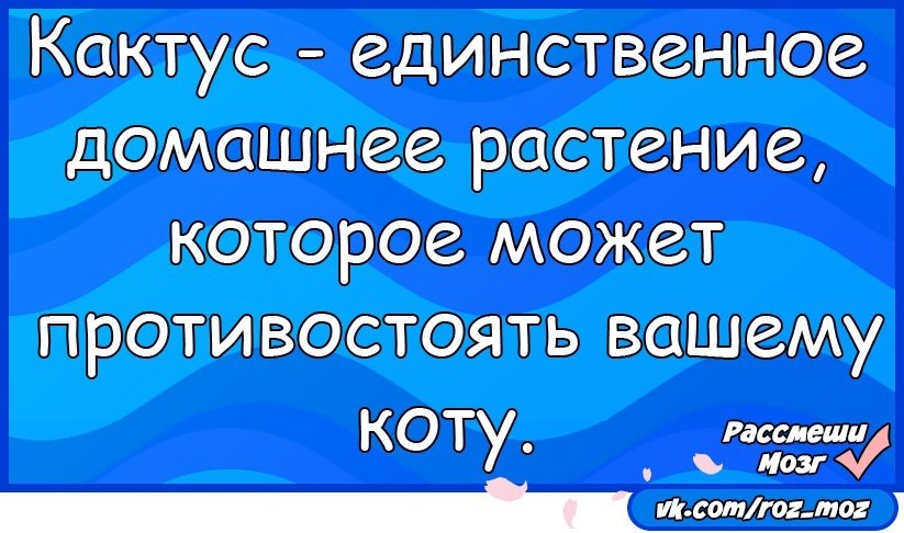 Анекдоты - 22 июля 2017 в 16:36