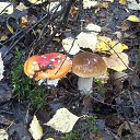 ���� �������, ������, 58 ��� - ��������� 16 �������� 2017 � ������ ���� ����������