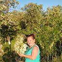 ������ � ����� �� ������� �c� ����