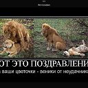 ���� Tigress, �������������� - ��������� 6 �������� 2017 � ������ �������� �����