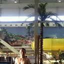 ���� ���������, ����, 40 ��� - ��������� 7 �������� 2017 � ������ ���� ����������