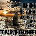 ���� ����, �����-���������, 71 ��� - ��������� 16 �������� 2017 � ������ ������ ��������