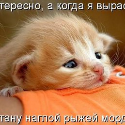 ���� �����, ������-��� - ��������� 22 ������ 2017