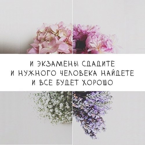  | ,  - 12  2017  01:11