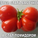 ���� �������, ������������, 64 ���� - ��������� 3 ��� 2017 � ������ ������ ��������