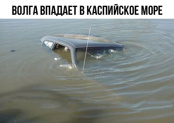    - 20  2017  12:08