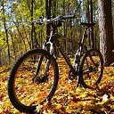 ���� ��������, ����, 39 ��� - ��������� 28 ������� 2017 � ������ ������ ��������