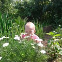 ���� ����, ������ - ��������� 30 ������� 2017 � ������ ���� ����������