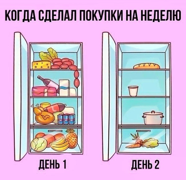    |   - 5  2017  05:08