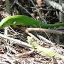  , --, 48  -  14  2017   