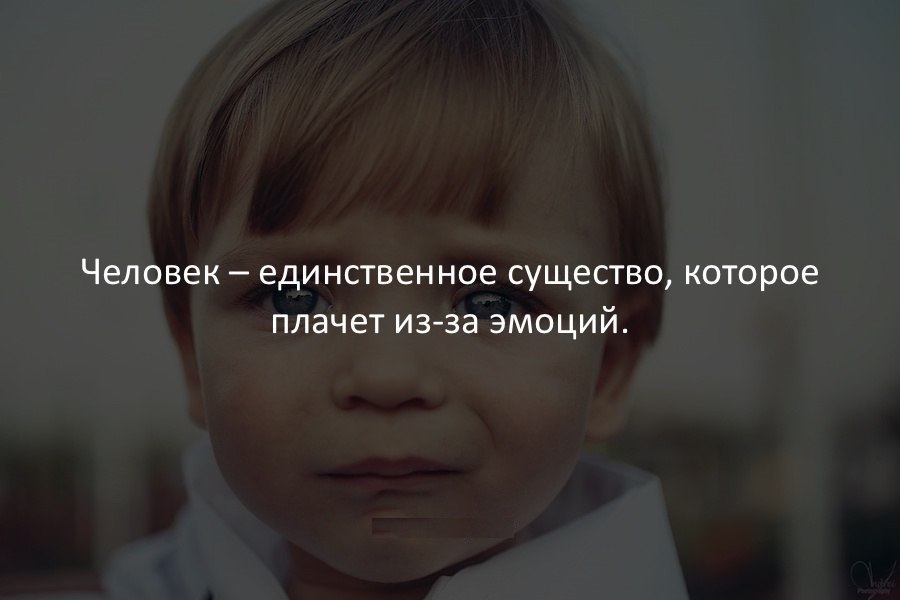   - 23  2017  09:40