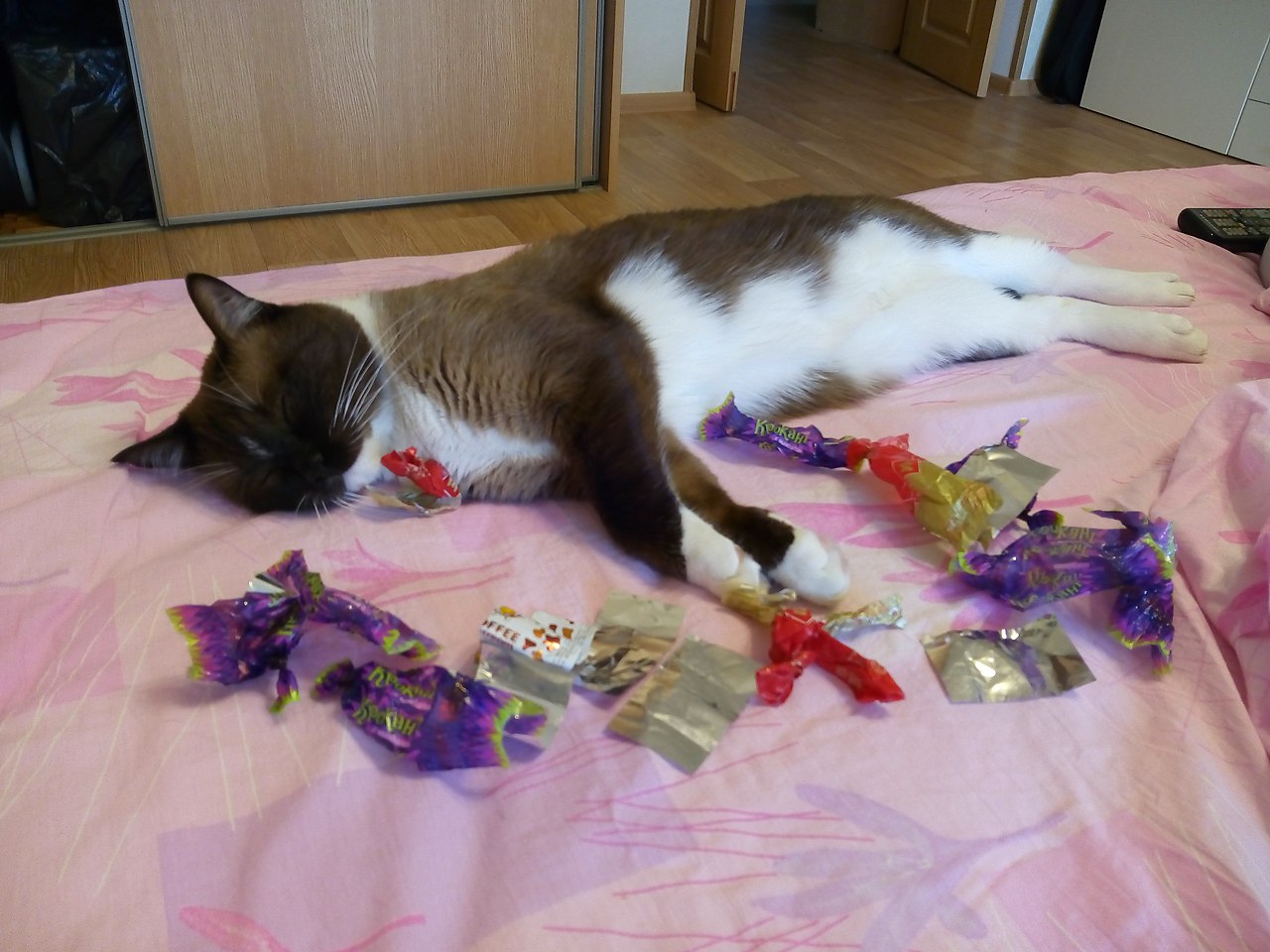 #_.         .       ...