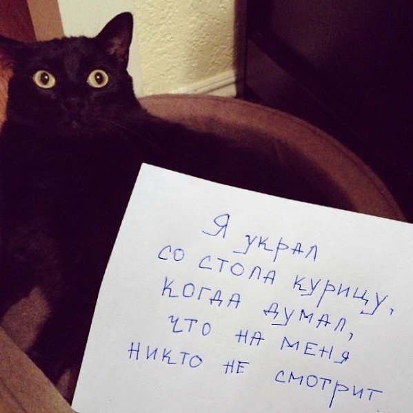    - 8