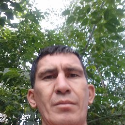 Asad, �����-���������, 47 ���
