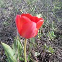 ���� ����, �����-��������� - ��������� 27 ������ 2017 � ������ ������