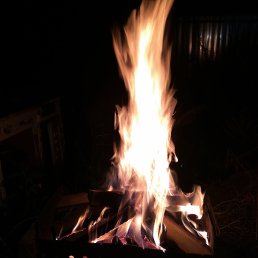 ���� ������, ������, 49 ��� - ��������� 26 ������� 2017