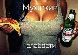   - 8  2017  15:37