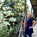 ���� ����, ��� - ��������� 3 ������� 2017 � ������ ���� ����������