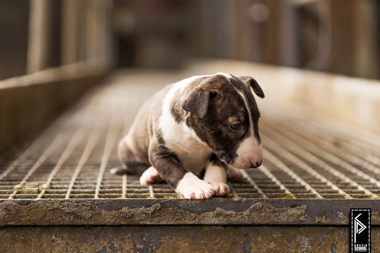 Добрый день всем жителям Буле-Городка ))).Для новых участников группы и для всех кто ищет полезную ...